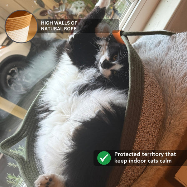 Instinct Cat Territory Basket